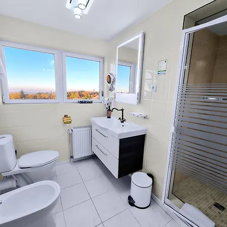 ホテル Roessle 3*