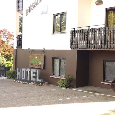 Hotel Roessle Dobel